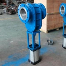 Double plates discharge gate valve